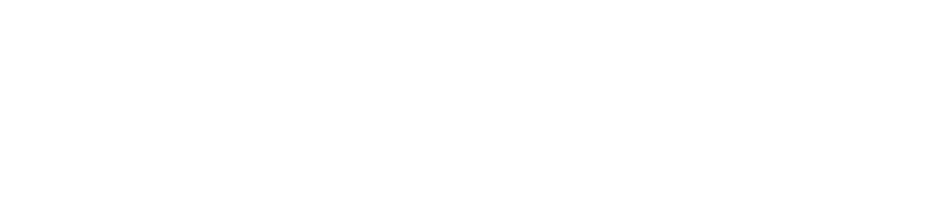 Quiz Boxing Den Bosch